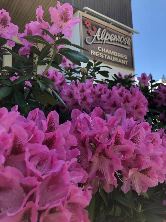 Alpenrose Chamonix Hostel Exterior photo